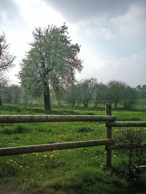 Gite : La Cochetiere : Ancienne Ferme 18Eme Villa Le Grais Esterno foto